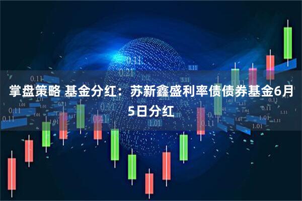 掌盘策略 基金分红：苏新鑫盛利率债债券基金6月5日分红