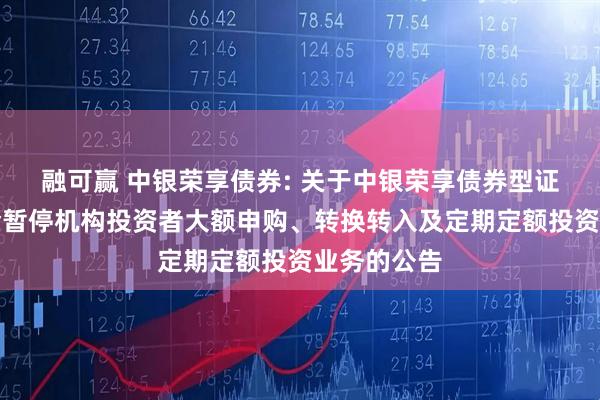 融可赢 中银荣享债券: 关于中银荣享债券型证券投资基金暂停机构投资者大额申购、转换转入及定期定额投资业务的公告
