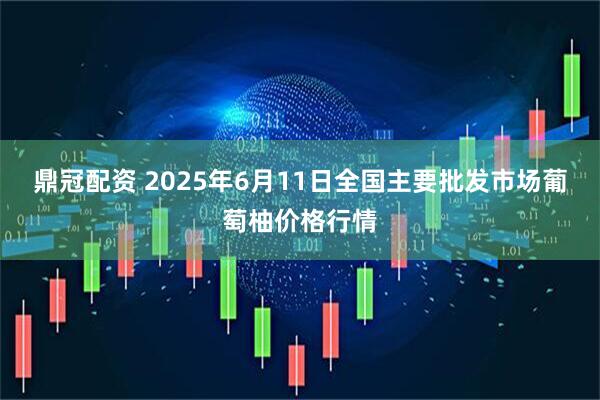 鼎冠配资 2025年6月11日全国主要批发市场葡萄柚价格行情