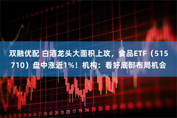 双融优配 白酒龙头大面积上攻，食品ETF（515710）盘中涨近1%！机构：看好底部布局机会