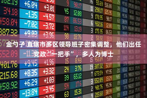 金勺子 直辖市多区领导班子密集调整，他们出任党政“一把手”，多人为博士