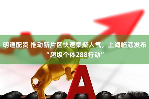 明道配资 推动新片区快速集聚人气，上海临港发布“超级个体288行动”