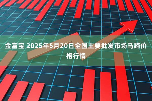 金富宝 2025年5月20日全国主要批发市场马蹄价格行情