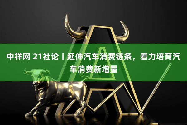 中祥网 21社论丨延伸汽车消费链条，着力培育汽车消费新增量