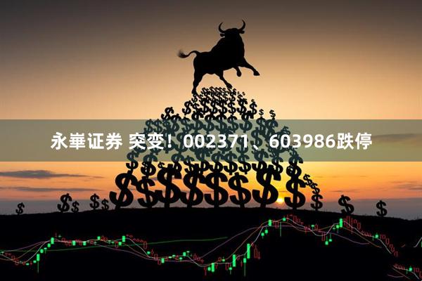 永崋证券 突变！002371、603986跌停